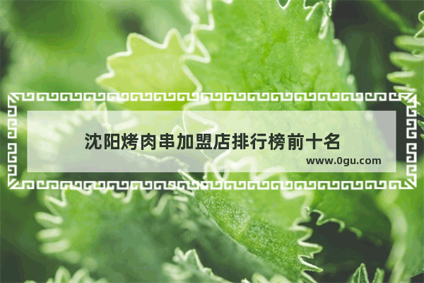 沈阳烤肉串加盟店排行榜前十名
