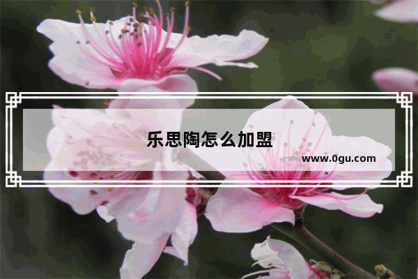 乐思陶怎么加盟