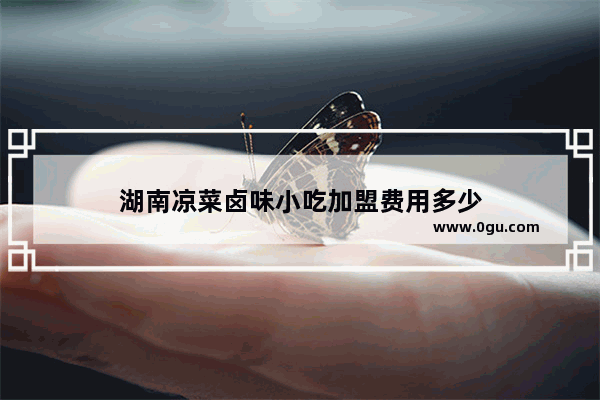 湖南凉菜卤味小吃加盟费用多少