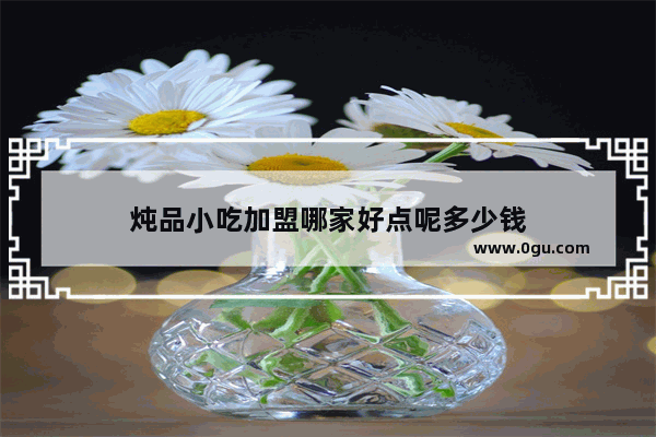 炖品小吃加盟哪家好点呢多少钱