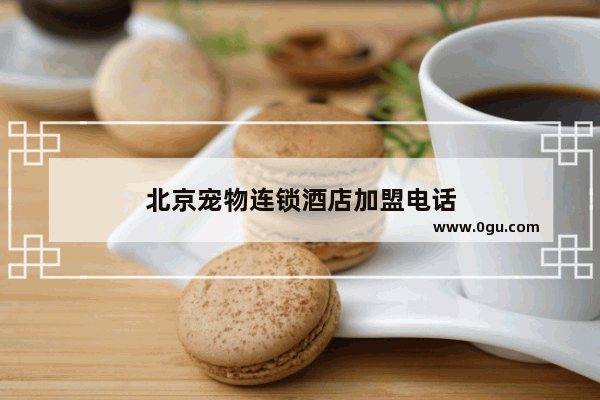 北京宠物连锁酒店加盟电话