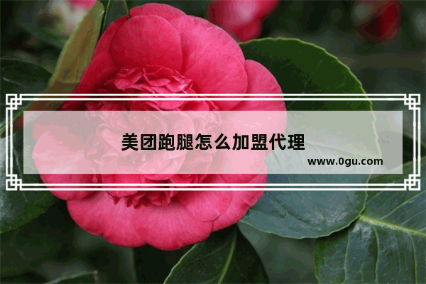 美团跑腿怎么加盟代理