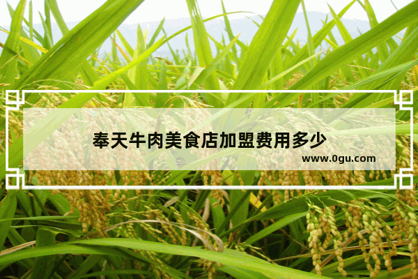 奉天牛肉美食店加盟费用多少