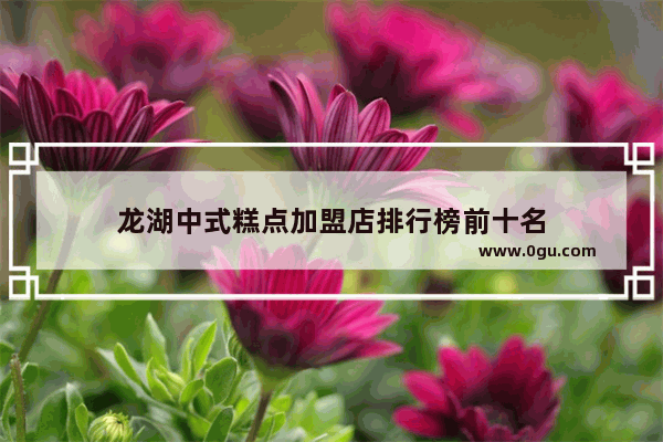 龙湖中式糕点加盟店排行榜前十名