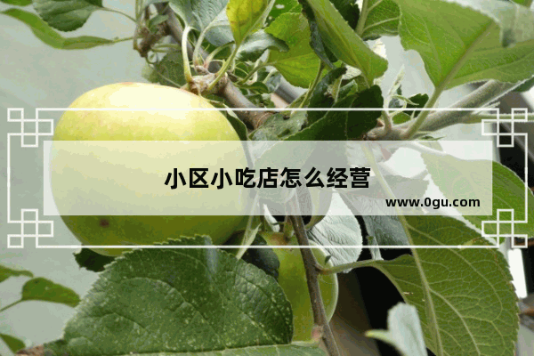 小区小吃店怎么经营