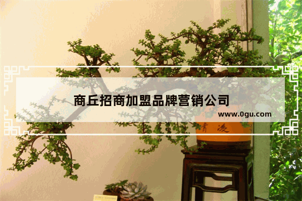 商丘招商加盟品牌营销公司