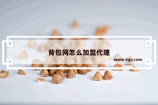 背包网怎么加盟代理