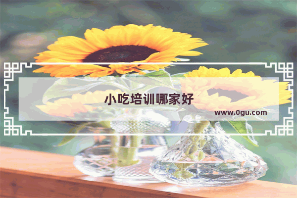 小吃培训哪家好