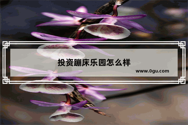 投资蹦床乐园怎么样