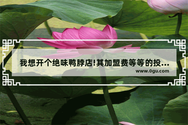 我想开个绝味鸭脖店!其加盟费等等的投资要多少？收入每个月多少啊
