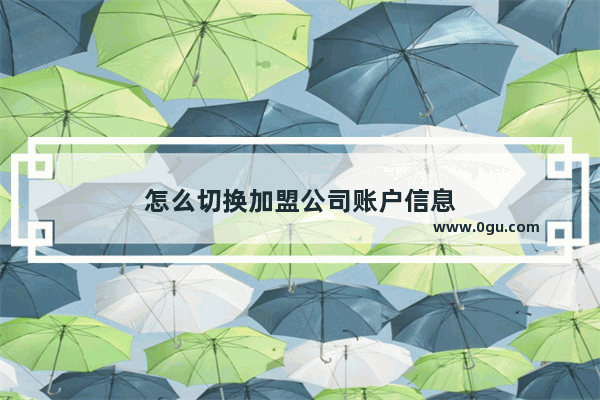 怎么切换加盟公司账户信息