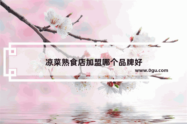 凉菜熟食店加盟哪个品牌好