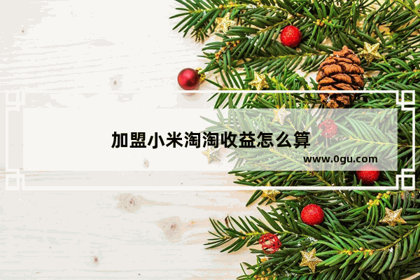 加盟小米淘淘收益怎么算