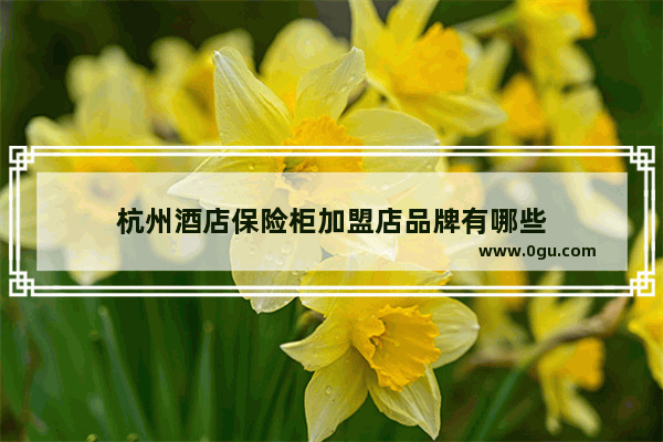 杭州酒店保险柜加盟店品牌有哪些