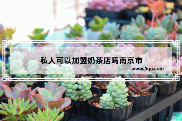私人可以加盟奶茶店吗南京市