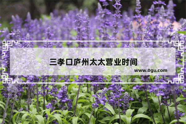 三孝口庐州太太营业时间
