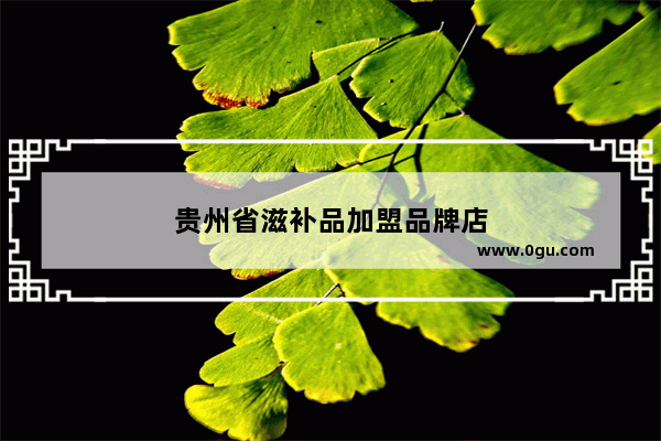 贵州省滋补品加盟品牌店