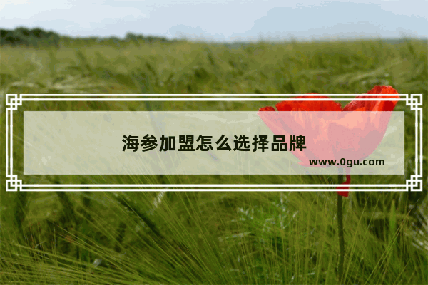海参加盟怎么选择品牌