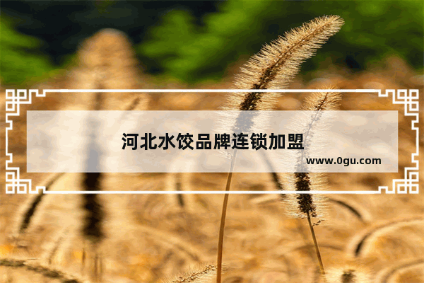 河北水饺品牌连锁加盟