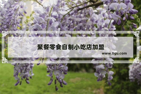 聚餐零食自制小吃店加盟