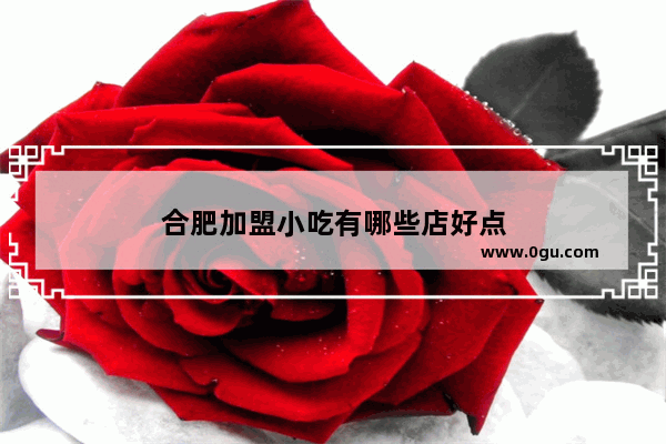 合肥加盟小吃有哪些店好点