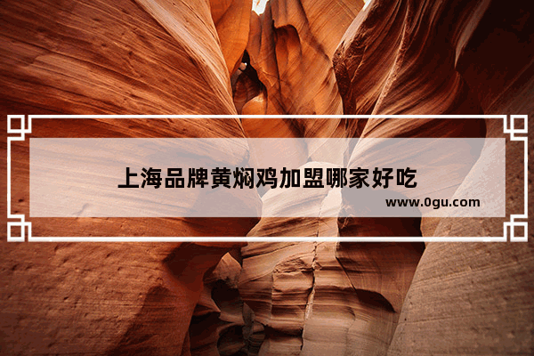 上海品牌黄焖鸡加盟哪家好吃