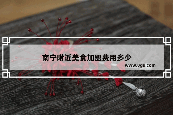 南宁附近美食加盟费用多少