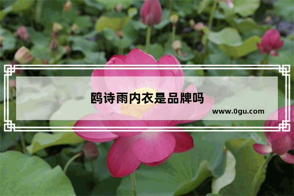 鸥诗雨内衣是品牌吗