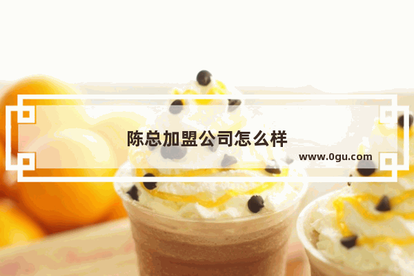 陈总加盟公司怎么样