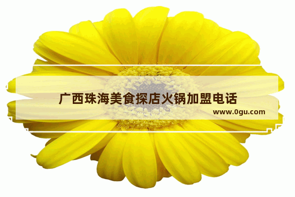 广西珠海美食探店火锅加盟电话