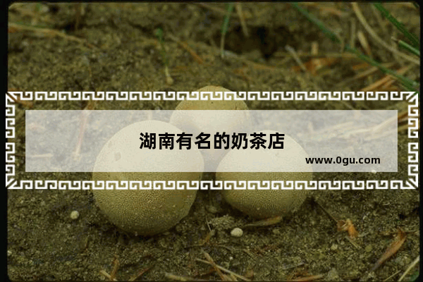 湖南有名的奶茶店
