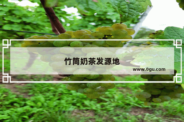 竹筒奶茶发源地