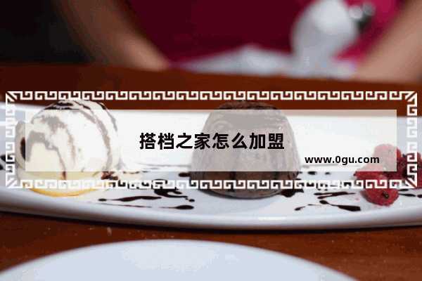 搭档之家怎么加盟