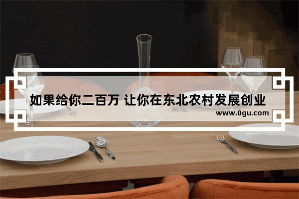 如果给你二百万 让你在东北农村发展创业 你会怎么做 做什么项目