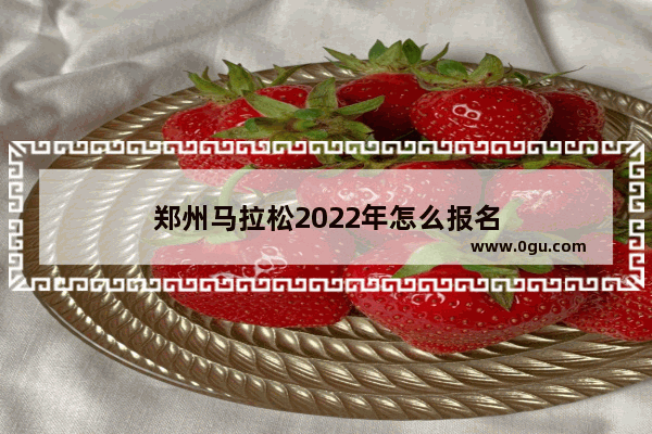 郑州马拉松2022年怎么报名