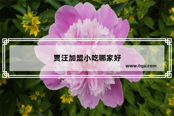 贾汪加盟小吃哪家好