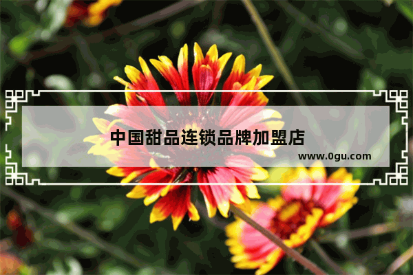 中国甜品连锁品牌加盟店