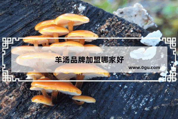 羊汤品牌加盟哪家好