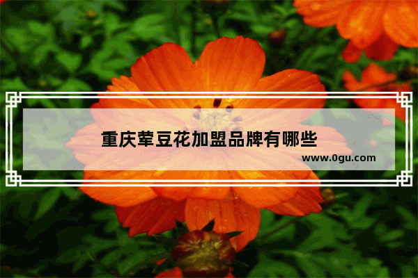 重庆荤豆花加盟品牌有哪些