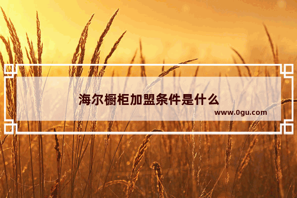 海尔橱柜加盟条件是什么