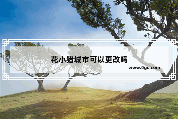 花小猪城市可以更改吗