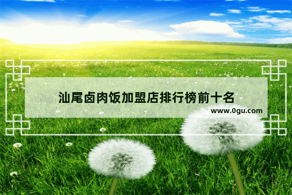 汕尾卤肉饭加盟店排行榜前十名
