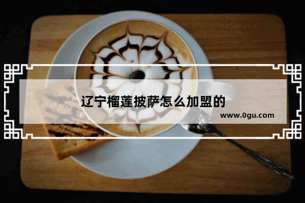 辽宁榴莲披萨怎么加盟的