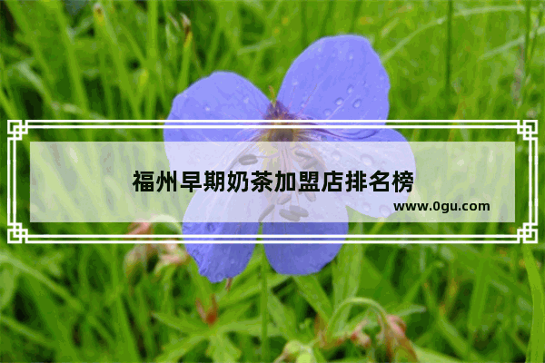 福州早期奶茶加盟店排名榜