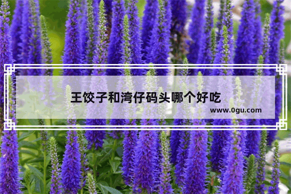 王饺子和湾仔码头哪个好吃