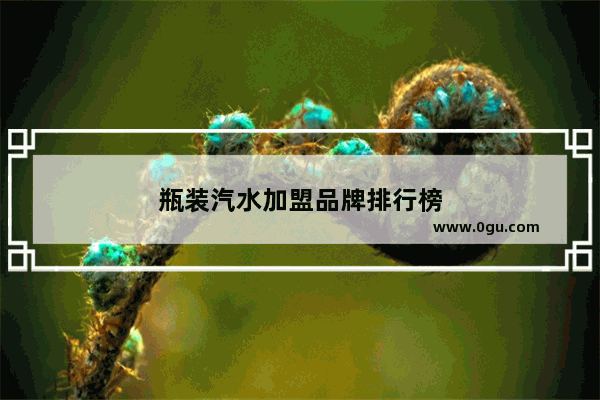 瓶装汽水加盟品牌排行榜