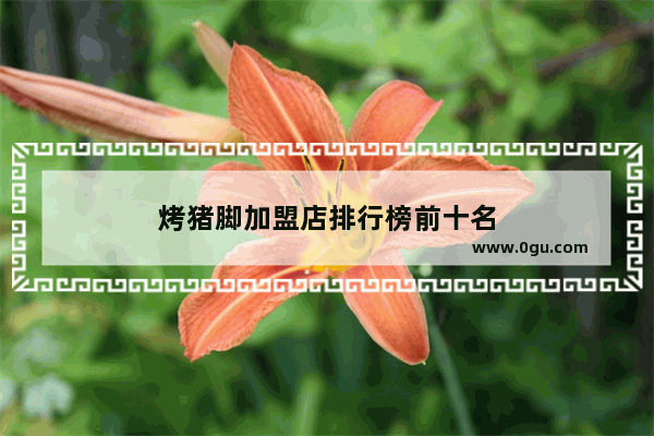 烤猪脚加盟店排行榜前十名