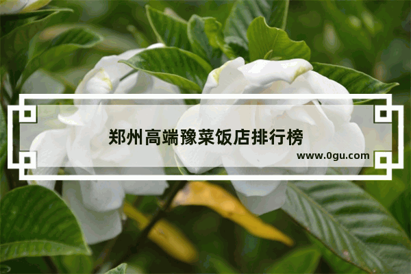 郑州高端豫菜饭店排行榜