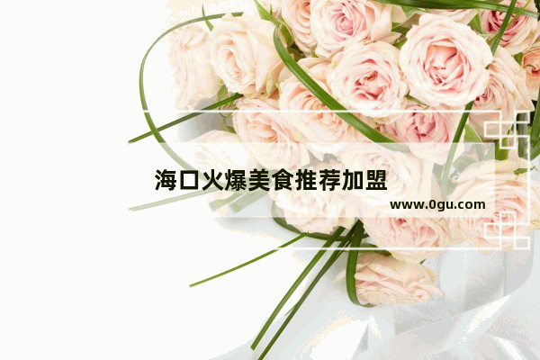 海口火爆美食推荐加盟