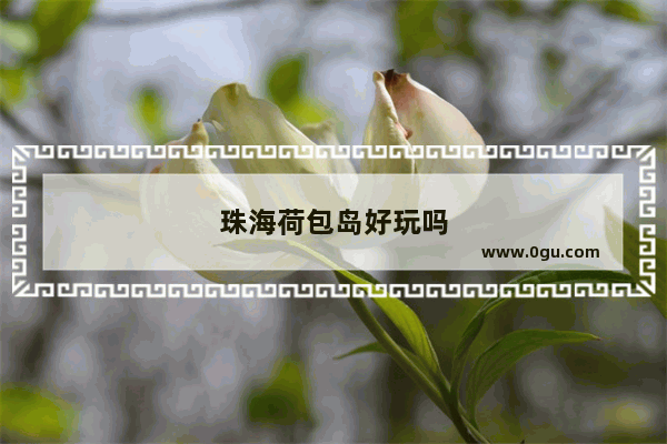 珠海荷包岛好玩吗